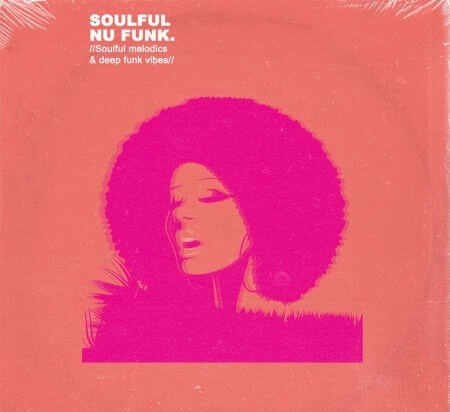 Samplestar Soulful Nu Funk WAV